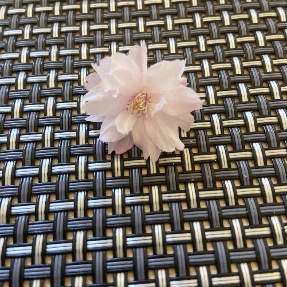 Meet your Posher, Daryll